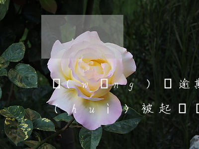 網(wǎng)貸逾期無(wú)力償還會(huì)被起訴嗎(網(wǎng)貸逾期目前卻無(wú)力償還怎么辦)