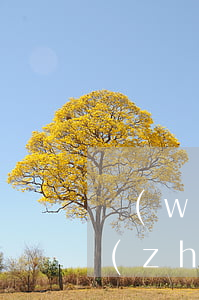 網(wǎng)貸逾期無(wú)力償還準(zhǔn)備和家人坦白-網(wǎng)貸逾期無(wú)力償還準(zhǔn)備和家人坦白有關(guān)系嗎