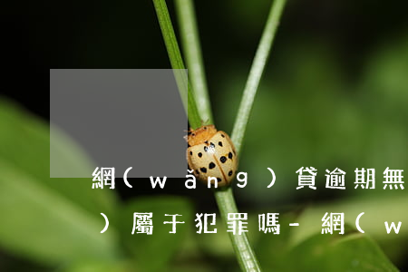 網(wǎng)貸逾期無力償還債務(wù)屬于犯罪嗎-網(wǎng)貸逾期無力償還債務(wù)屬于犯罪嗎怎么處理