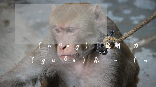 網(wǎng)貸逾期無力償還和愛人有關(guān)系嗎-網(wǎng)貸逾期無力償還和愛人有關(guān)系嗎知乎