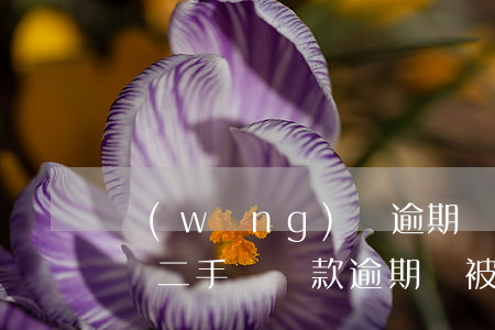 網(wǎng)貸逾期無力償還打算賣掉新車(二手車貸款逾期,車被收回要的回嗎)