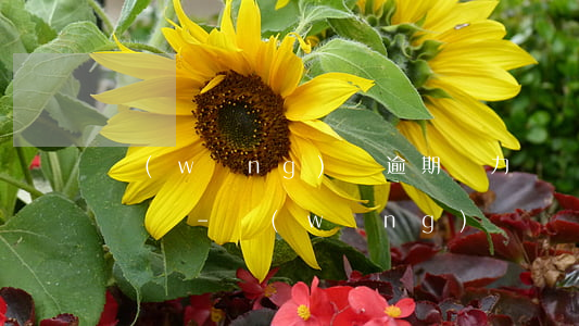 網(wǎng)貸逾期無力償還會找到公司來嗎-網(wǎng)貸沒還會找到公司嗎