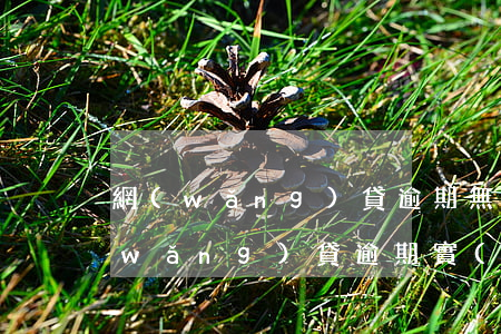 網(wǎng)貸逾期無力償還的后果(網(wǎng)貸逾期實(shí)在無力償還怎么辦)