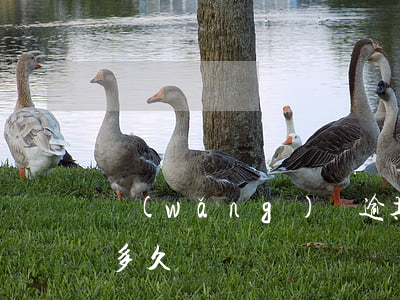網(wǎng)貸逾期無力償還被起訴需要多久