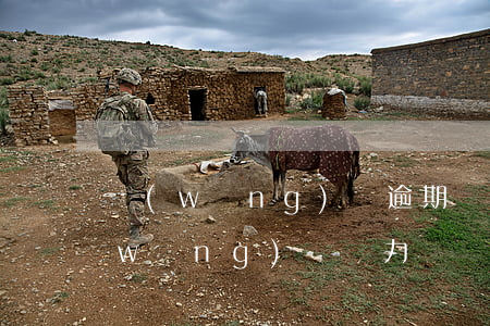 網(wǎng)貸逾期無力還款被起訴(網(wǎng)貸無力償還被起訴了怎么辦)