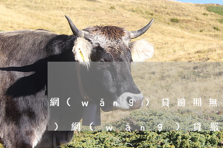 網(wǎng)貸逾期無法乘坐飛機(jī)(網(wǎng)貸嚴(yán)重逾期會不會禁止坐飛機(jī))