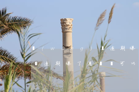網(wǎng)貸逾期爆了(網(wǎng)貸逾期爆了通訊錄可以報警嗎)