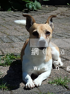 網(wǎng)貸逾期爆通訊錄爆幾天(網(wǎng)貸逾期可以爆通訊錄嗎)