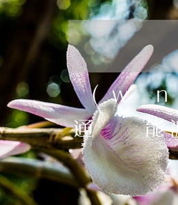 網(wǎng)貸逾期現(xiàn)在的通訊錄能被知道嗎-網(wǎng)貸逾期現(xiàn)在的通訊錄能被知道嗎安全嗎