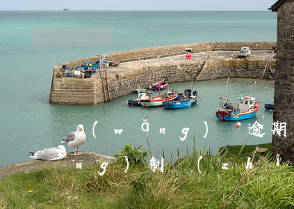 網(wǎng)貸逾期申請法院強(qiáng)制執(zhí)行(法院執(zhí)行網(wǎng)貸逾期怎么處理)