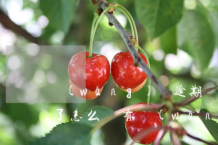 網(wǎng)貸逾期當(dāng)兵去了怎么辦(有網(wǎng)貸去當(dāng)兵了怎么辦)