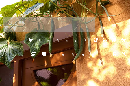 網(wǎng)貸逾期發(fā)139郵箱(網(wǎng)貸逾期收到12368短信)