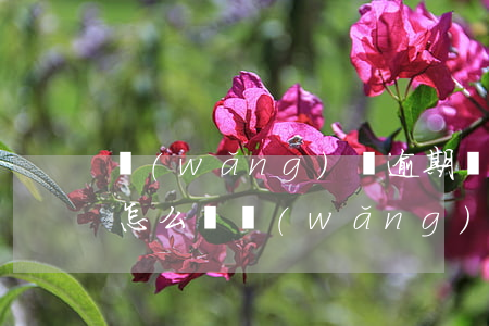 網(wǎng)貸逾期發(fā)了律師函怎么辦(網(wǎng)貸逾期有律師函)