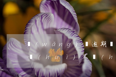 網(wǎng)貸逾期發(fā)了律師函會(huì)不會(huì)被起訴（網(wǎng)貸逾期收到律師函了是不是等于被起訴了）