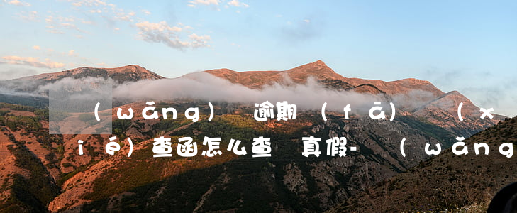 網(wǎng)貸逾期發(fā)來協(xié)查函怎么查詢真假-網(wǎng)貸逾期收到協(xié)查函是什么
