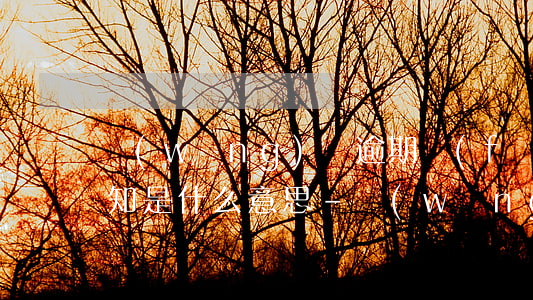 網(wǎng)貸逾期發(fā)來夜店通知是什么意思-網(wǎng)貸夜收通知