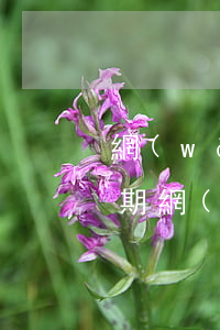 網(wǎng)貸逾期發(fā)來開庭日期(網(wǎng)貸逾期被起訴后法院多長時間來通知)
