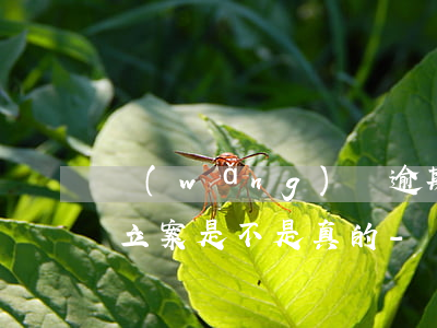 網(wǎng)貸逾期發(fā)信息給要立案是不是真的-網(wǎng)貸逾期了給我發(fā)短信說起訴我真的嗎