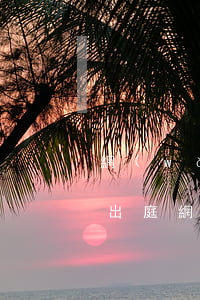 網(wǎng)貸逾期發(fā)信息說沒出庭(網(wǎng)貸逾期發(fā)信息說沒出庭)