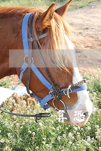 網(wǎng)貸逾期發(fā)律師函了算恐嚇嗎(網(wǎng)貸逾期發(fā)律師函會(huì)怎么樣)