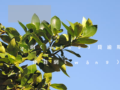 網(wǎng)貸逾期發(fā)律師函要仲裁(網(wǎng)貸逾期仲裁流程)
