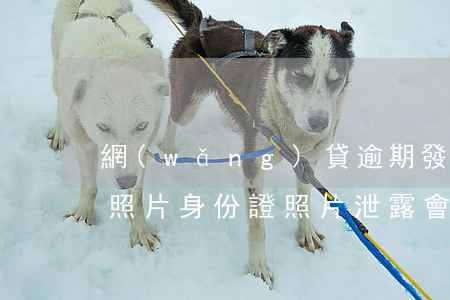 網(wǎng)貸逾期發(fā)拿身份證照片(身份證照片泄露會不會網(wǎng)貸)