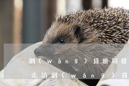 網(wǎng)貸逾期發(fā)消息到家走訪(網(wǎng)貸逾期發(fā)了告知函到老家)