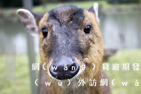 網(wǎng)貸逾期發(fā)消息法務(wù)外訪(網(wǎng)貸逾期法務(wù)通知)