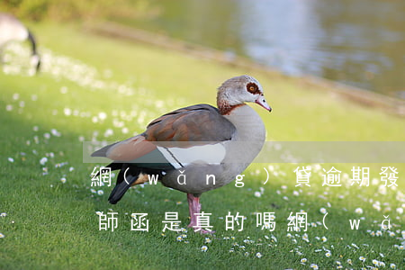 網(wǎng)貸逾期發(fā)的電子律師函是真的嗎(網(wǎng)貸逾期發(fā)來電子律師函)