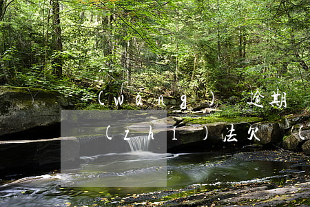 網(wǎng)貸逾期發(fā)短信上門執(zhí)法(欠網(wǎng)貸發(fā)短信威脅上門怎么辦)
