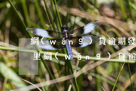 網(wǎng)貸逾期發(fā)短信來家里(網(wǎng)貸逾期短信發(fā)來法律文書)