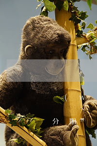 網(wǎng)貸逾期發(fā)短信取消分期(網(wǎng)貸說(shuō)要取消分期)