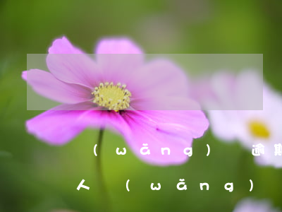 網(wǎng)貸逾期發(fā)短信給他人(網(wǎng)貸逾期短信發(fā)來法律文書)