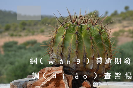 網(wǎng)貸逾期發(fā)短信訴前調(diào)查，警惕網(wǎng)貸逾期：謹(jǐn)防短信訴前調(diào)查陷阱
