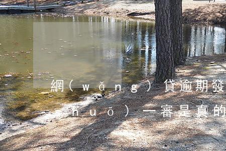 網(wǎng)貸逾期發(fā)短信說(shuō)一審是真的假的