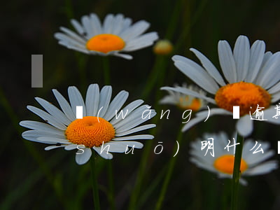 網(wǎng)貸逾期發(fā)短信說(shuō)明什么(網(wǎng)貸逾期發(fā)短信說(shuō)起訴了是真的嗎)