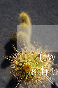 網(wǎng)貸逾期發(fā)短信說(shuō)是外訪(網(wǎng)貸逾期外訪是什么意思)