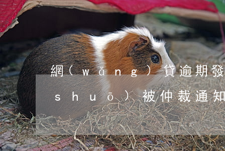 網(wǎng)貸逾期發(fā)短信說(shuō)被仲裁通知家屬-網(wǎng)貸逾期發(fā)短信說(shuō)被仲裁通知家屬怎么辦