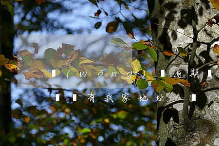 網(wǎng)貸逾期發(fā)短信說上門還有我家地址-網(wǎng)貸逾期發(fā)短信說上門還有我家地址是真的嗎