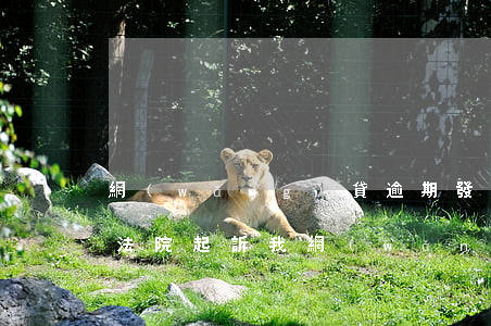網(wǎng)貸逾期發(fā)短信說要法院起訴我(網(wǎng)貸逾期老是發(fā)短信說起訴我,是不是真的會(huì)起訴)
