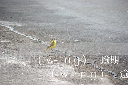 網(wǎng)貸逾期發(fā)短信說起訴(網(wǎng)貸逾期發(fā)短信說起訴,但沒說是哪個網(wǎng)貸,該怎么辦)