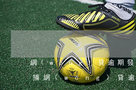 網(wǎng)貸逾期發(fā)短信說逮捕(網(wǎng)貸逾期會(huì)發(fā)短信嗎)