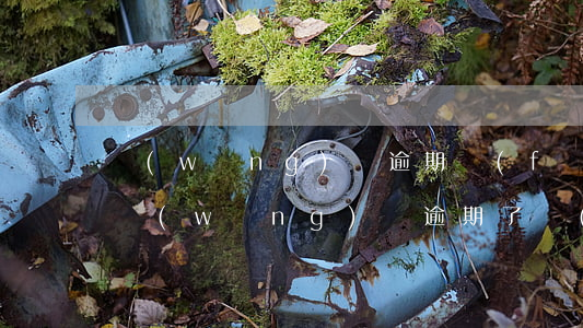 網(wǎng)貸逾期發(fā)逾期短信(網(wǎng)貸逾期了發(fā)短信)