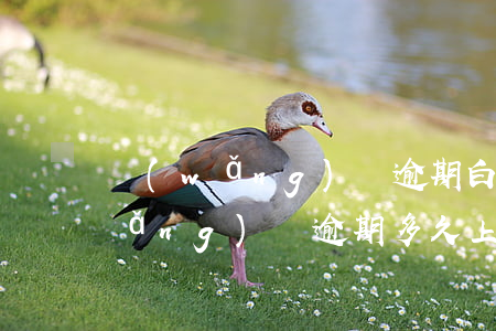 網(wǎng)貸逾期白戶上征信嗎(網(wǎng)貸逾期多久上征信黑名單)