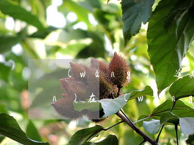 網(wǎng)貸逾期的人多嗎?（現(xiàn)在網(wǎng)貸信用卡逾期的人多嗎）