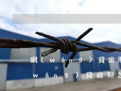 網(wǎng)貸逾期的人怎樣處理好(網(wǎng)貸逾期怎么處理比較好)