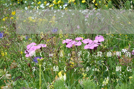 網(wǎng)貸逾期的人講講經(jīng)驗(yàn)(網(wǎng)貸逾期如何處理比較好)