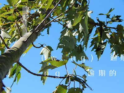 網(wǎng)貸逾期的利息高不高(網(wǎng)貸逾期的費用這么高怎么辦)