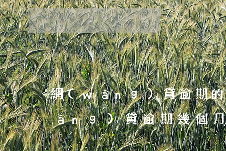 網(wǎng)貸逾期的幾率有多高(網(wǎng)貸逾期幾個月嚴(yán)重嗎)