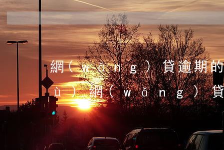 網(wǎng)貸逾期的征信怎么修復(fù)(網(wǎng)貸逾期征信可以修復(fù)嗎)